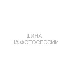 Шина Michelin Primacy 5 R19 235/50 летняя