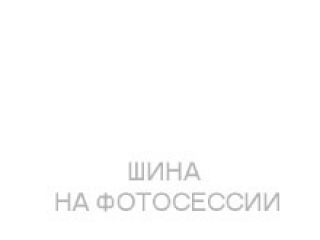 Шина Michelin Primacy 5 R19 235/50 летняя